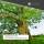 Tischplatte Eiche Chalet U 30 mm - leicht oval durchgehende Lamellen 240x100 cm