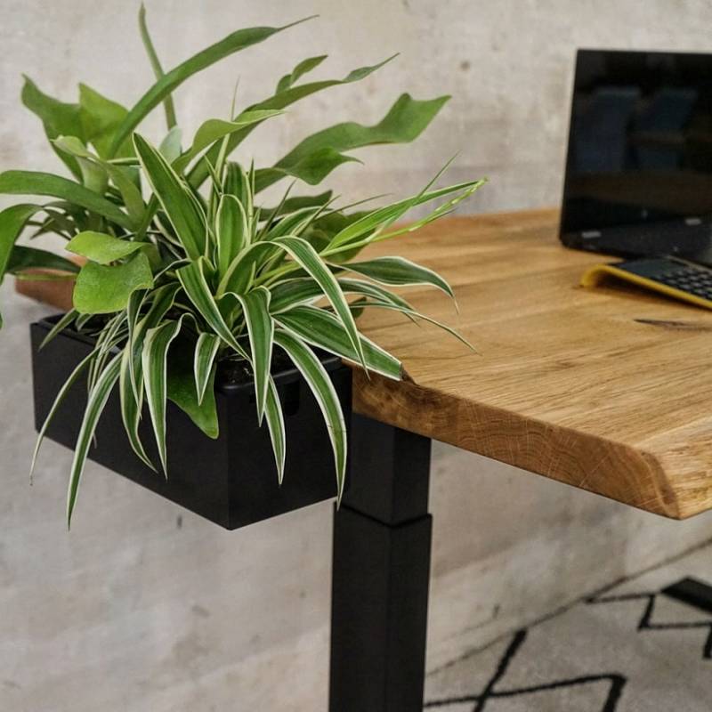 Multibox (303x123x105 mm)