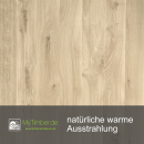 Bank-/ Ablageplatte Eiche Chalet B 40 mm - natürliche Baumkante 220x40 cm