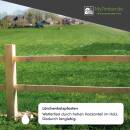 Fichtenlatten sägerau 40x60x2000mm 5 Stück