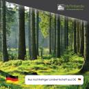 Fichtenlatten sägerau 40x60x2000mm 5 Stück