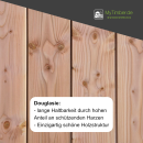 Douglasie Bretter vollmassiv 4 x20x200 cm 4 Stück