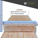 Douglasie Bretter vollmassiv 4x20x100 cm 2 Stück