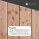 Douglasie Bretter vollmassiv 4x20x100 cm 2 Stück