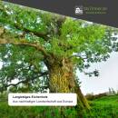 L/A Tischplatte Eiche Chalet D 40 mm Eiche Dual, Kante Trapez 220x100 cm