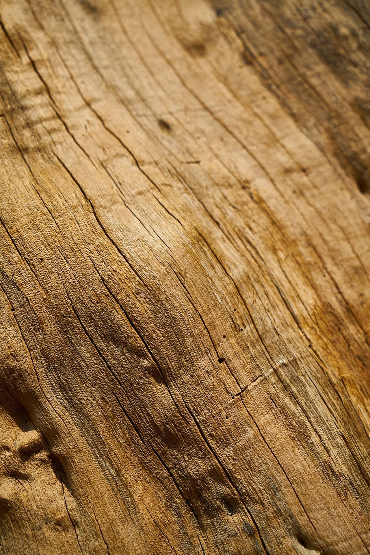 Detailaufnahme der Holzmaserung mit feinen Rissen